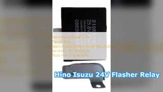 Hino 및 Isuzu 트럭 부품용 24V 성 노출증 릴레이